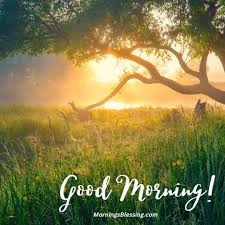 good morning nature images with wishes