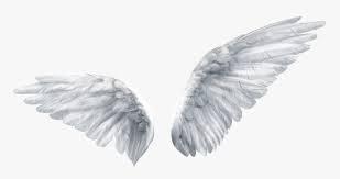 If you're in search of the best angel wings wallpaper, you've come to the right place. Overlay And Png Image Transparent Background Angel Wings Transparent Png Download Kindpng