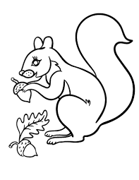 Paper size letter (8.5 x 11). Free Squirrel Coloring Page