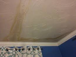 how to fix wet walls mold and other