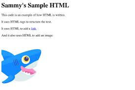 source code of an html doent