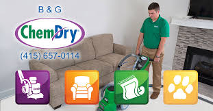 carpet cleaning the natural way b