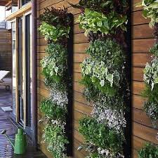 5 Ways To Transform Your Garden Shed