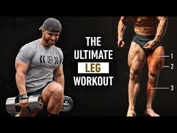 science based leg day for muscle growth
