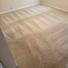 citrusolution carpet cleaning of