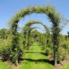2m garden arch trellis arched frame