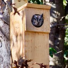 Owl Nesting Box Handmade New Zealand