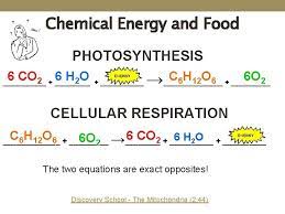 Cellular Respiration Chemical Energy