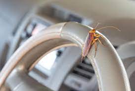 how to get roaches out of a car 5
