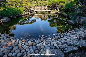 Hayward Japanese Garden John Lander