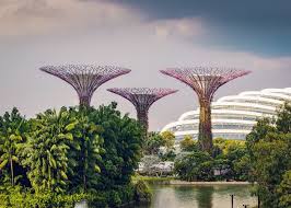 What Can You Do At Gardens By The Bay
