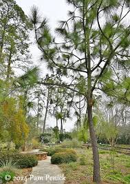 mercer botanic gardens in humble