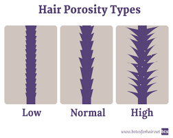 Hair Classification Type Porosity Density And Ph Afroqueens