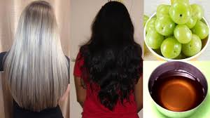Food that helps with the growth of your natural hair should be consumed more. White Hair To Black Hair Permanently At Home Best Hair Care Tips Gold Star Entertainment Youtube