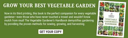 Learn To Garden Vegetable Gardening