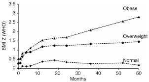 Evolution Of Bmi Z Score From Birth To 5 Years In Normal