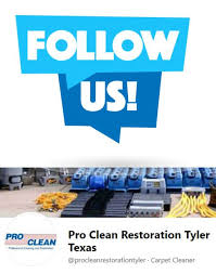 pro clean professional cleaning