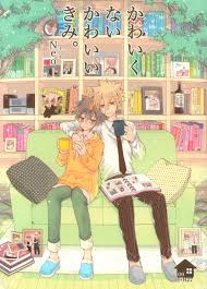 USED) [Boys Love (Yaoi) : R18] Doujinshi - REBORN!  Giotto (Primo) x  Tsunayoshi Sawada (かわいくない かわいいきみ。 Neo)  suiden crow | Buy from Otaku  Republic - Online Shop for Japanese Anime Merchandise