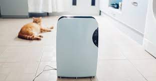 do air purifiers work research best