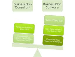Business Plan Software Vs Business Plan Writers