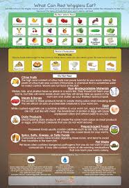 Under favorable conditions your red wiggler worm population will multiply rapidly. What Can Red Wiggler Worms Eat Infographic Red Wiggler Worms Red Wigglers Worm Composting Bin