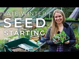 How To Start A Vegetable Garden From