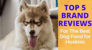 what is the best dog food for huskies