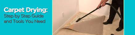 Carpet Drying Step By Step Guide And
