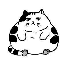 fat cat funny black and white kawaii