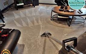 steam carpet cleaning summit nj