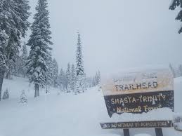 Mount Shasta Avalanche Center & Home of the Climbing Rangers - Conditions  at Bunny Flat @ 3 PM: 4-6 inches of new snow, light variable winds, snow  falling .5-1 in/hr, 1/4 mile visibility, road plowed. | Facebook