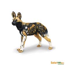 Safaripedia African Wild Dog