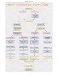 Assessment Flow Chart Emergency Medical Responder