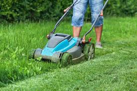 11 Really Good Small Lawn Mower Options