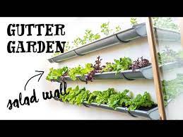 vertical kitchen gutter garden the