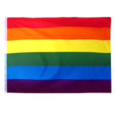 Die sus erhalten ein arbeitsblatt, auf dem die bedeutung der einzelnen farben der regenbogenfahne erläutert werden. 10 Regenbogenfahnen Flagge 90 150cm