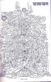 Subtle Anatomy Description Of The Nadis Of Man