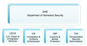 Agencies Of Immigration Dhs Nyc Immigration Law Office