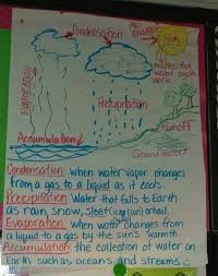 Water Cycle Anchor Chart Science Science Education