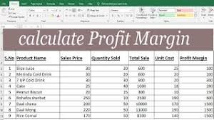 calculate profit margin with percene