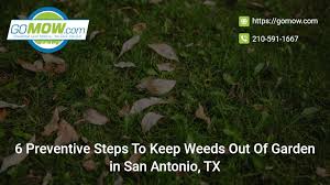 Keep Weeds Out Of Garden In San Antonio