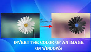 Color Of An Image On Windows Pc