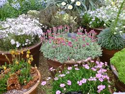How To Grow A Container Garden Houzz Ie