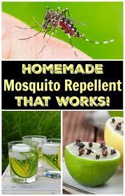 Similar to garlic spray, chile pepper spray is a great homemade natural insect repellent that can be used for a variety of different pests. How To Make Natural Homemade Mosquito Repellent With Only 5 Ingredients Mosquito Repellent Homemade Mosquito Repellent Candle Diy Mosquito Repellent Candle