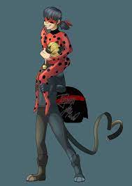 ladybug cat noir hd phone wallpaper
