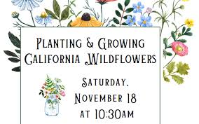growing california wildflowers