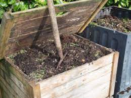What You Can Put In A Compost Bin