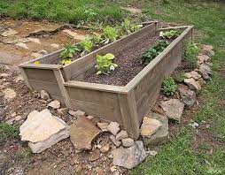 Organic Raised Bed On A Sloped Yard