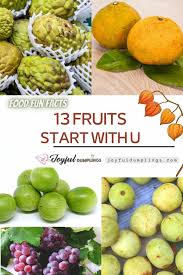 13 healthy fruits that start with u