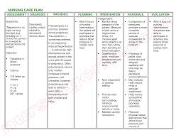 nursing diagnosis coursework example words writing the best nursing care plan requires a step by step approach to correctly